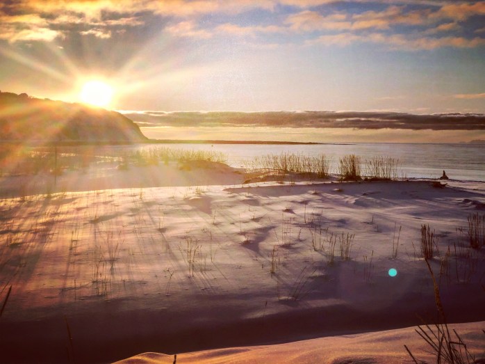 Purchase my books LINK