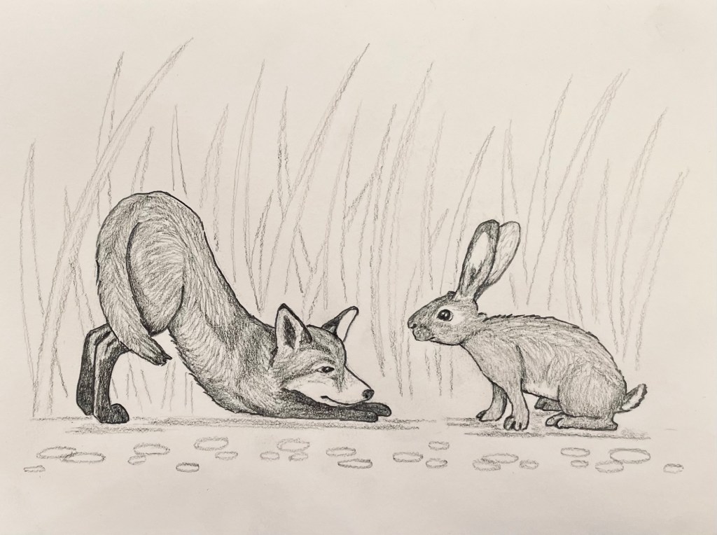 pencil drawing of a fox cub and rabbit, art by tara caribou copyrighted