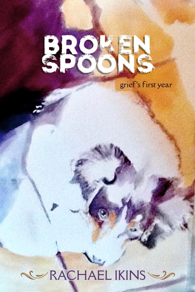 Broken Spoons by Rachael Ikins